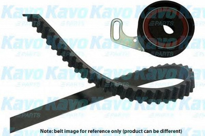 KAVO PARTS dkt2006 -  Комплект ремня ГРМ